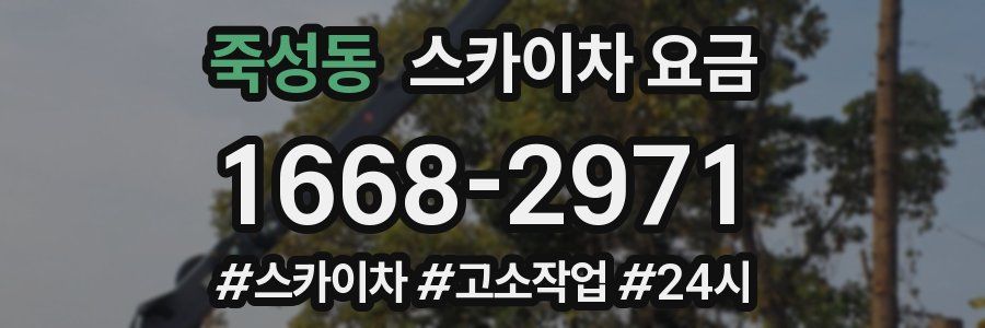 죽성동 스카이차 요금