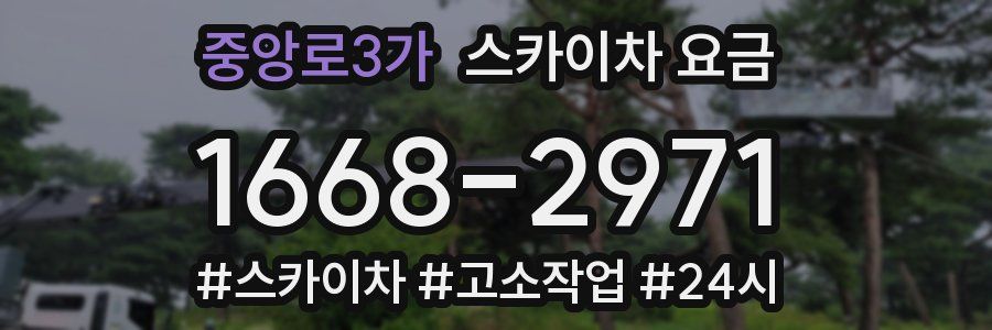 중앙로3가 스카이차 요금