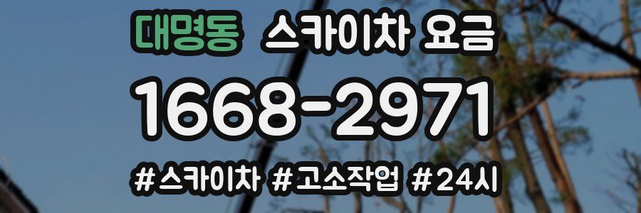 대명동 스카이차 요금