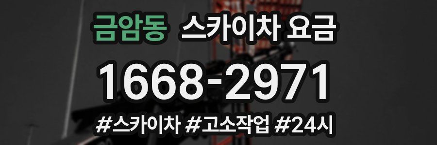 금암동 스카이차 요금