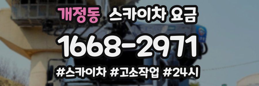 개정동 스카이차 요금