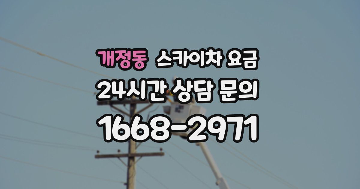 개정동 스카이차 요금