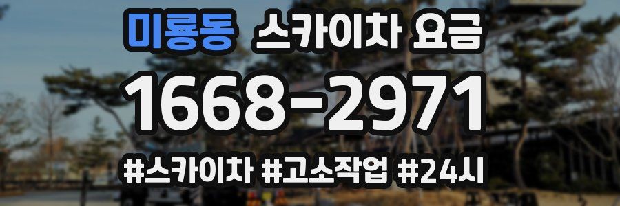 미룡동 스카이차 요금