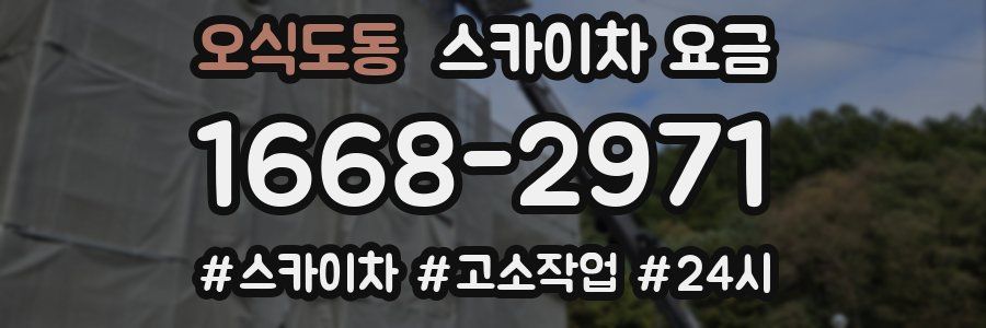 오식도동 스카이차 요금