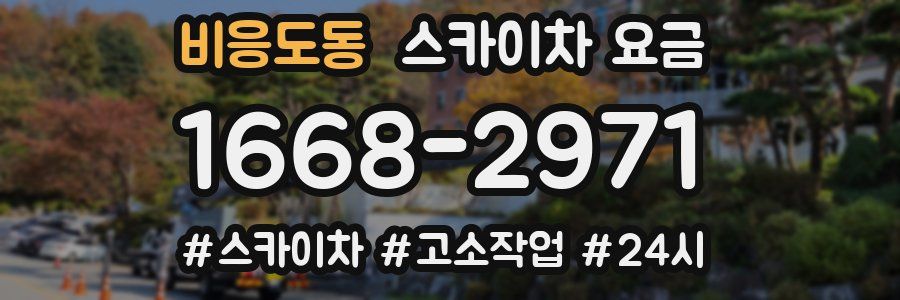 비응도동 스카이차 요금