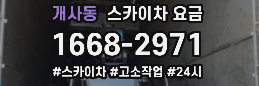 개사동 스카이차 요금