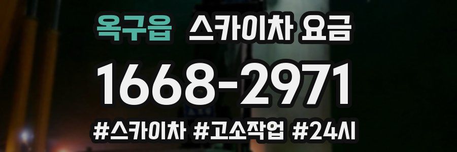 옥구읍 스카이차 요금