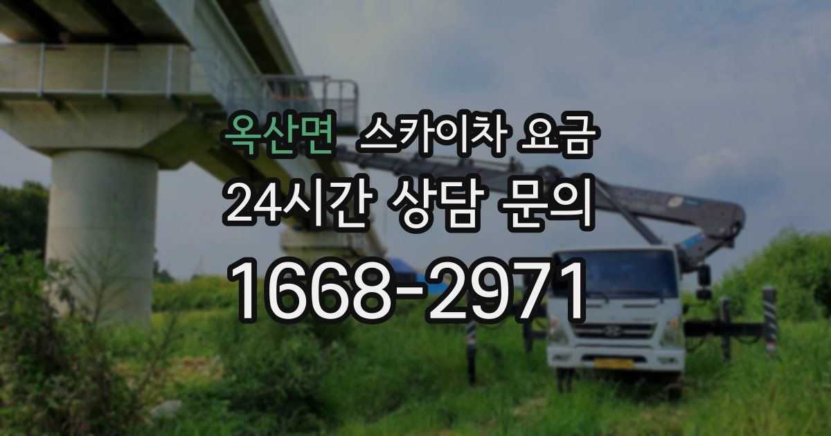 옥산면 스카이차 요금