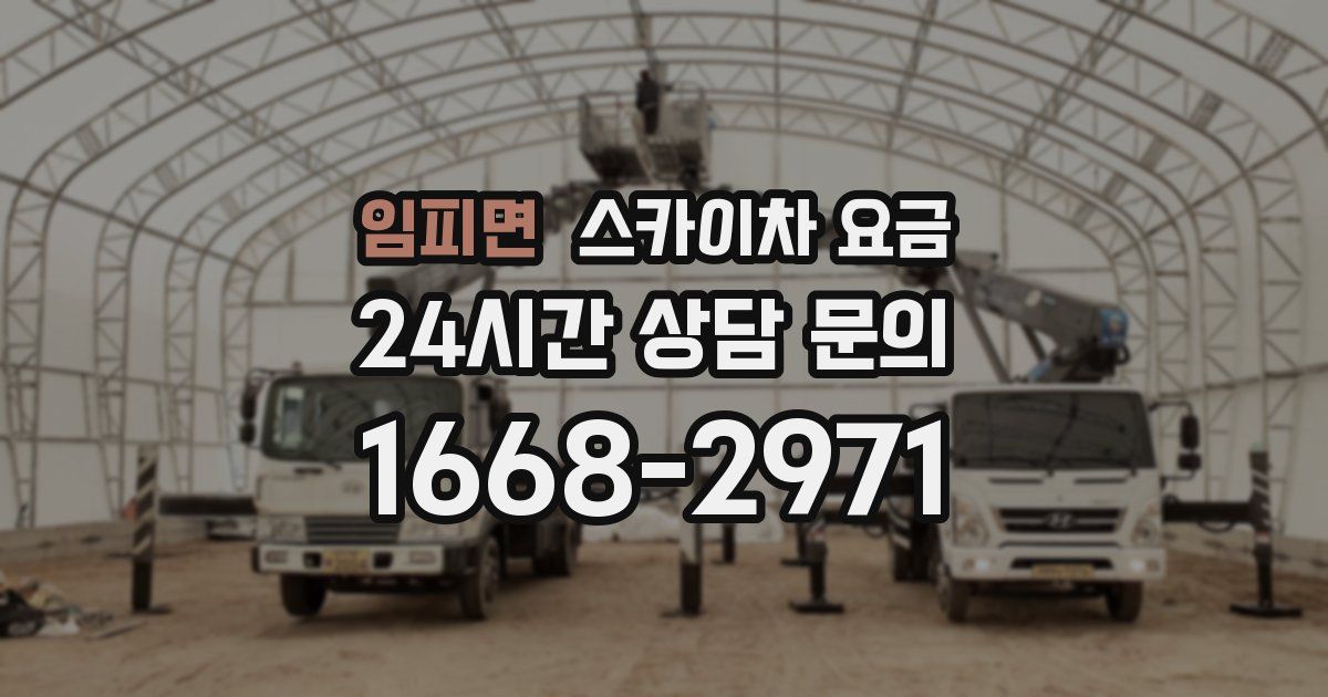 임피면 스카이차 요금