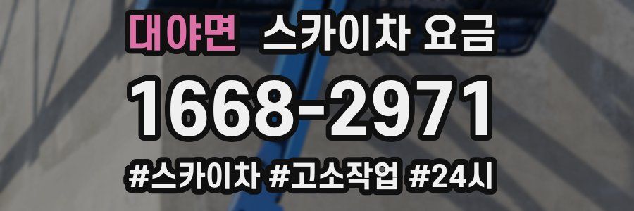 대야면 스카이차 요금