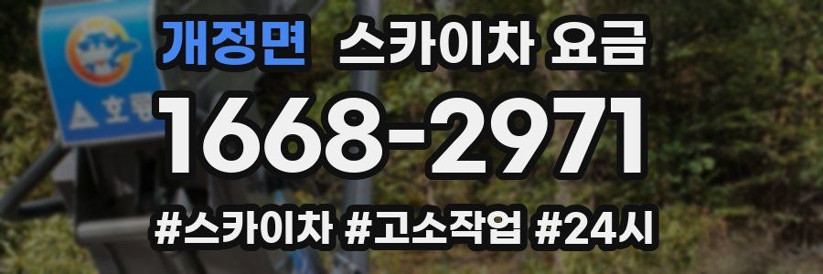 개정면 스카이차 요금