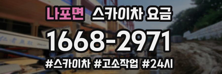 나포면 스카이차 요금