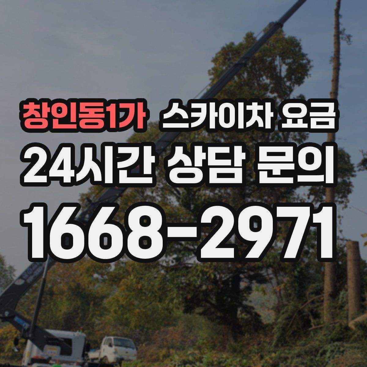 창인동1가 스카이차 요금 가지치기 작업은 바람이 변수인 이유