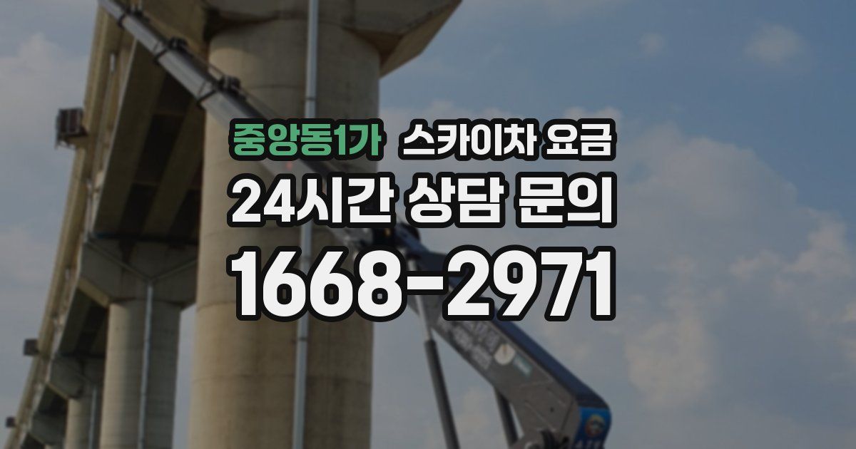 중앙동1가 스카이차 요금