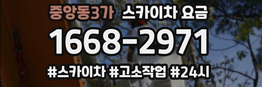 중앙동3가 스카이차 요금