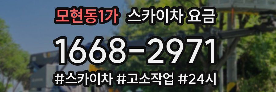 모현동1가 스카이차 요금