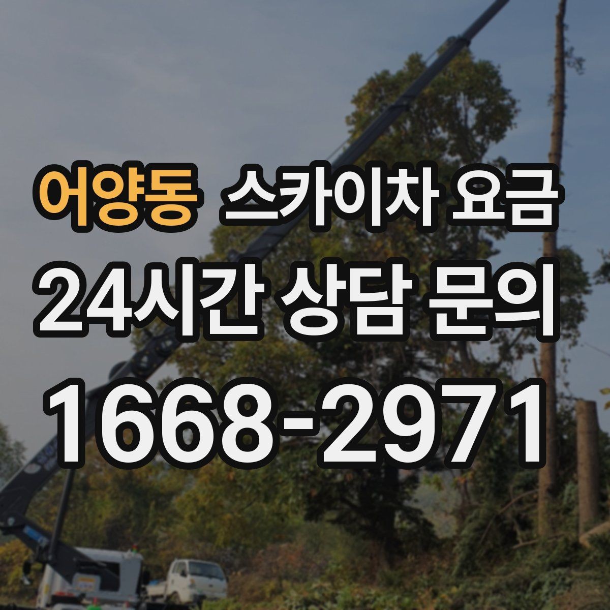 어양동 스카이차 요금 가로수·간판·전선이 동선을 막을 때