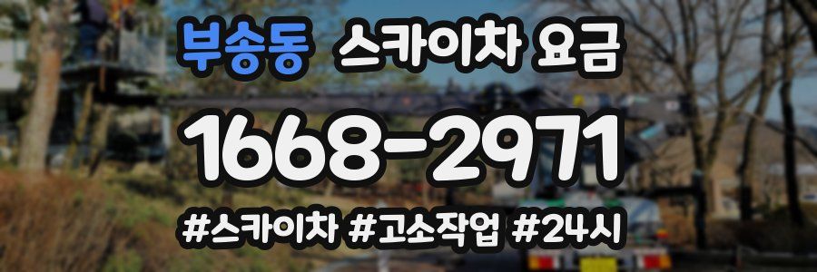 부송동 스카이차 요금