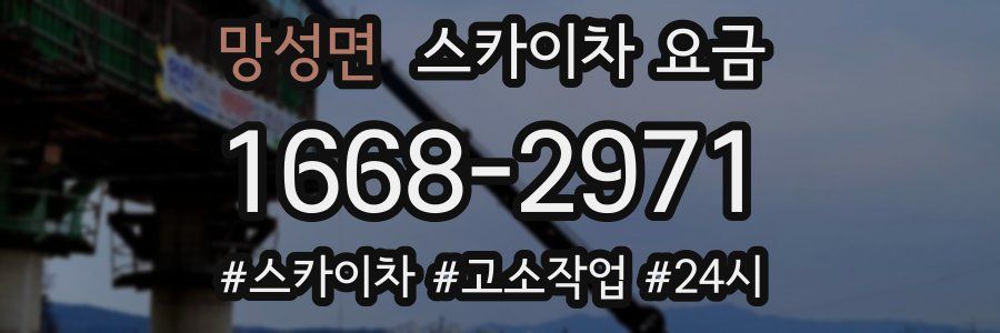 망성면 스카이차 요금