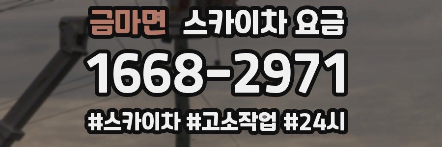 금마면 스카이차 요금