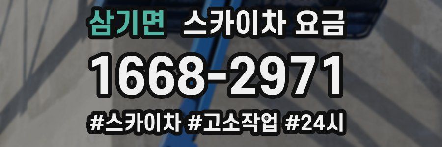 삼기면 스카이차 요금