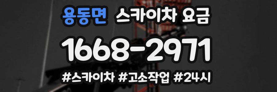 용동면 스카이차 요금