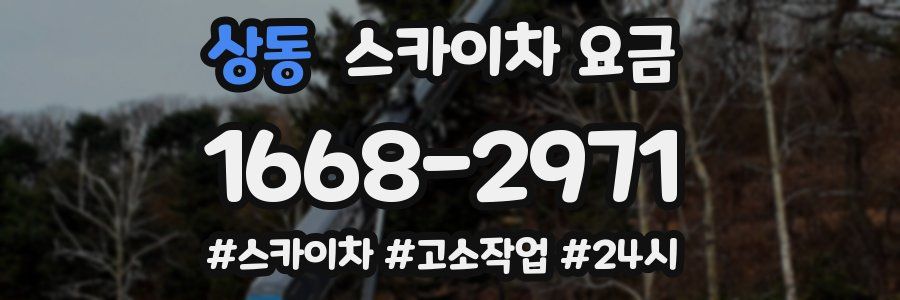 상동 스카이차 요금