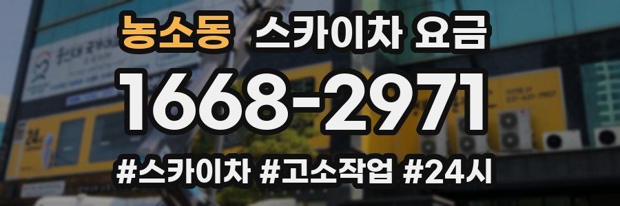 농소동 스카이차 요금