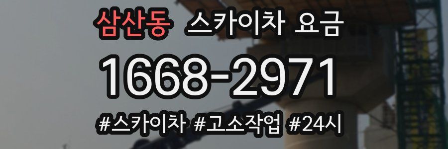 삼산동 스카이차 요금