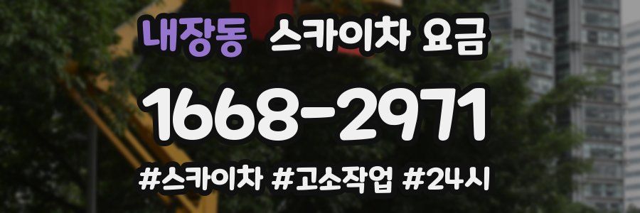 내장동 스카이차 요금