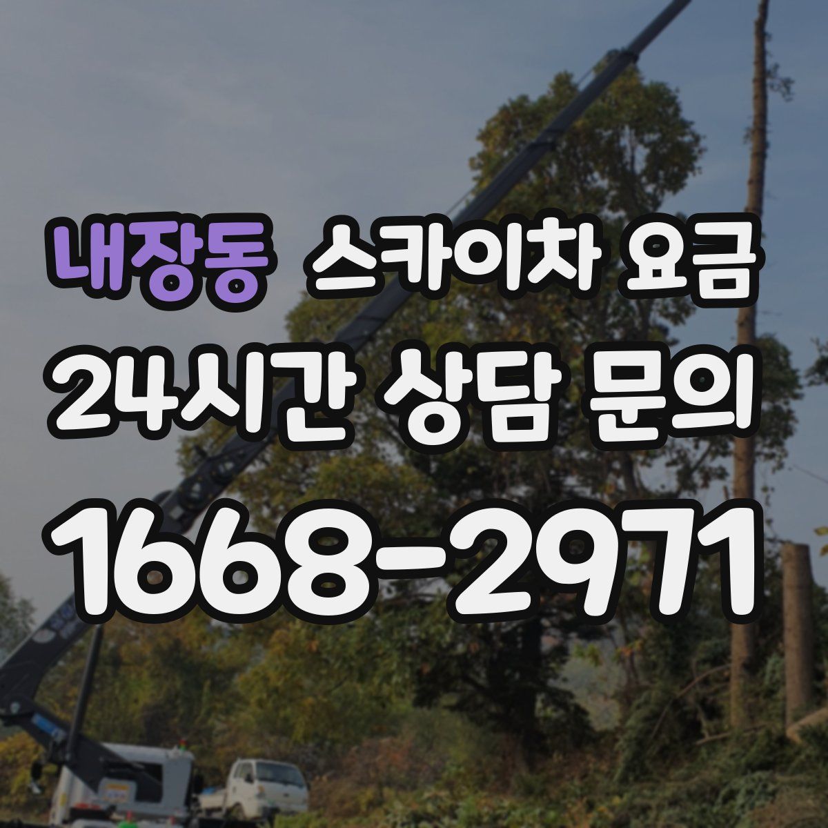 내장동 스카이차 요금