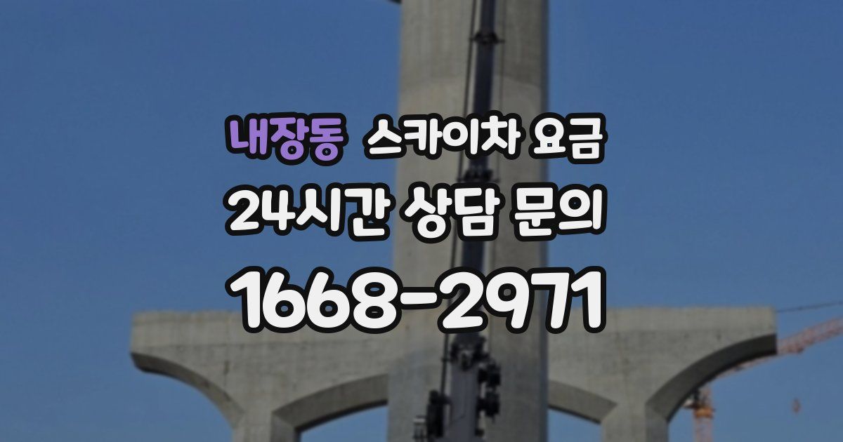 내장동 스카이차 요금