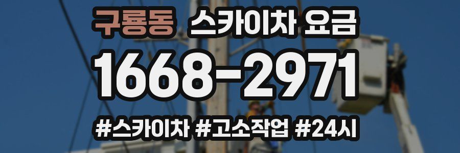 구룡동 스카이차 요금