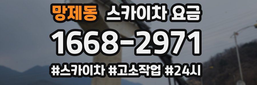 망제동 스카이차 요금