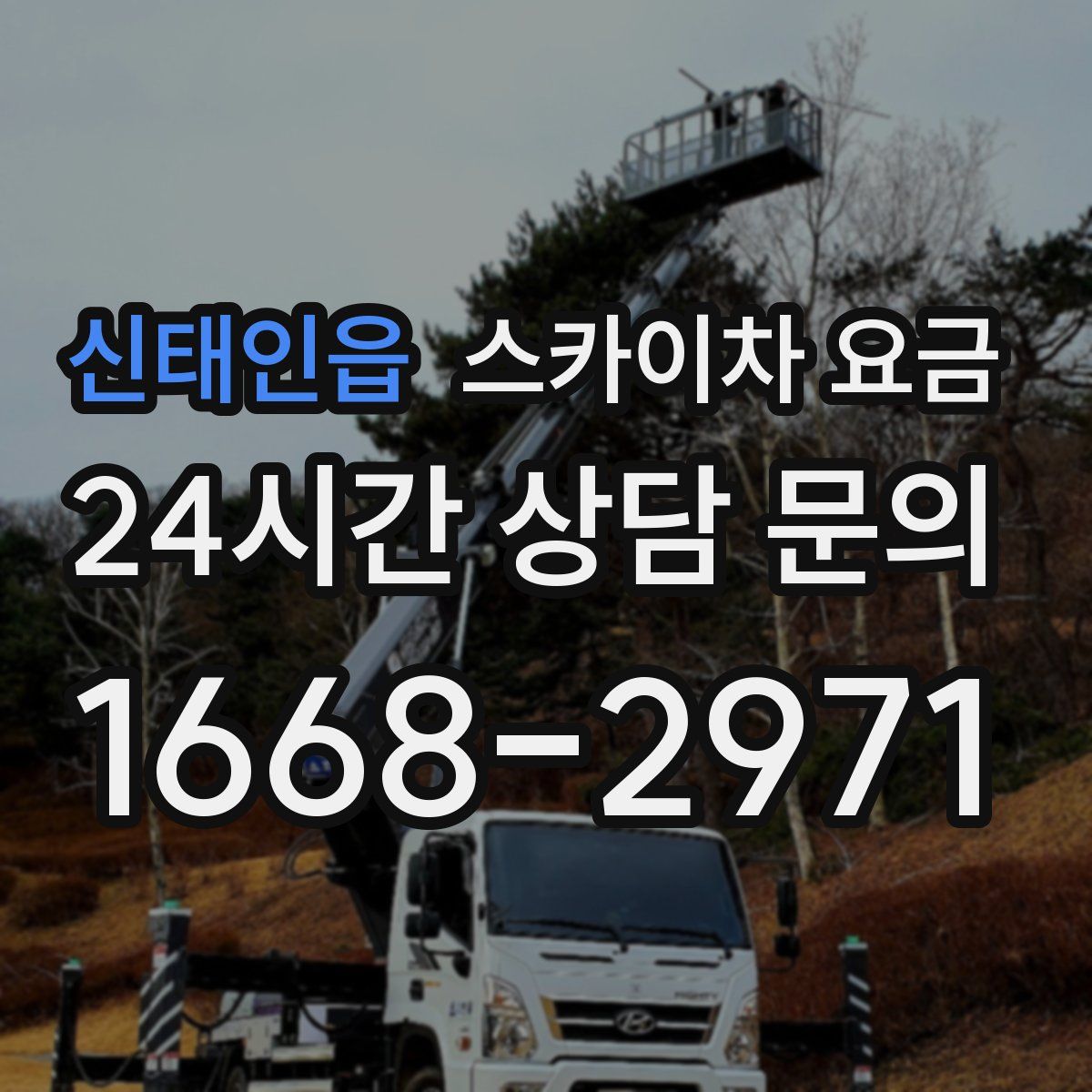 신태인읍 스카이차 요금