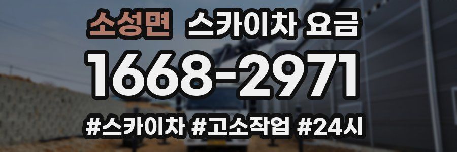 소성면 스카이차 요금