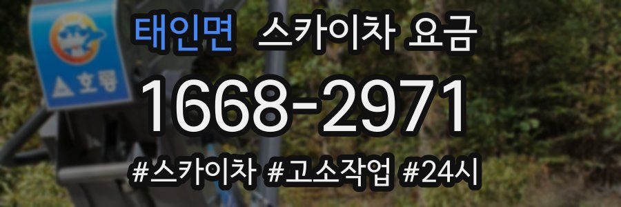 태인면 스카이차 요금