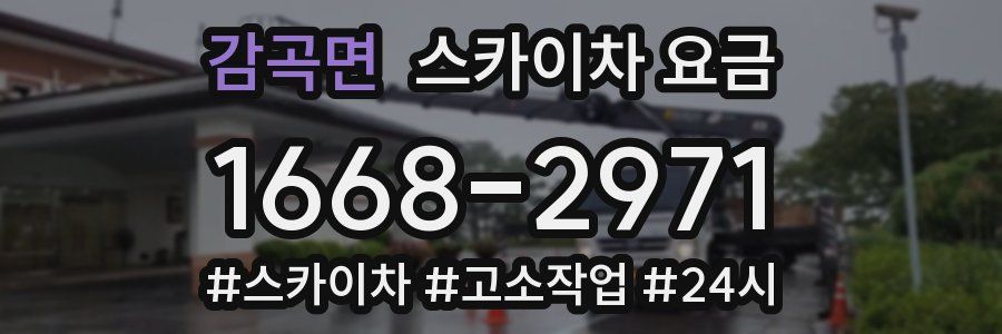 감곡면 스카이차 요금