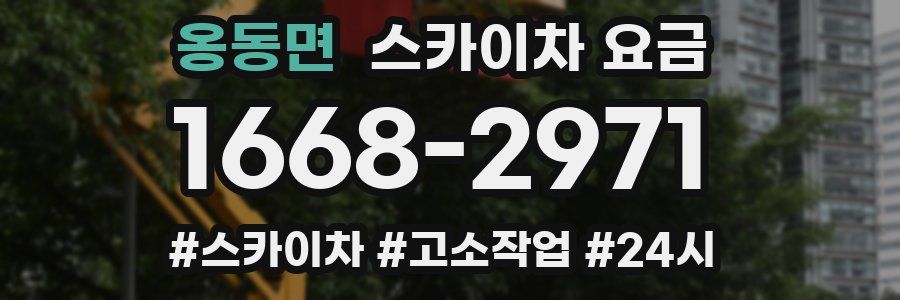 옹동면 스카이차 요금