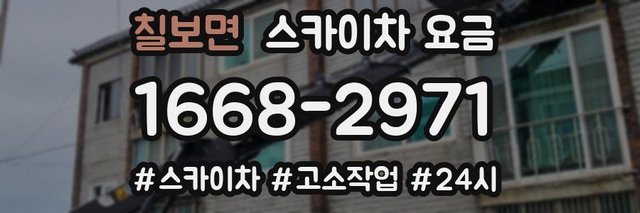 칠보면 스카이차 요금