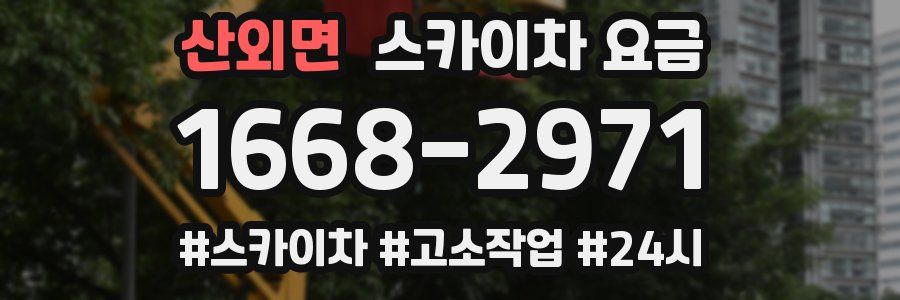 산외면 스카이차 요금