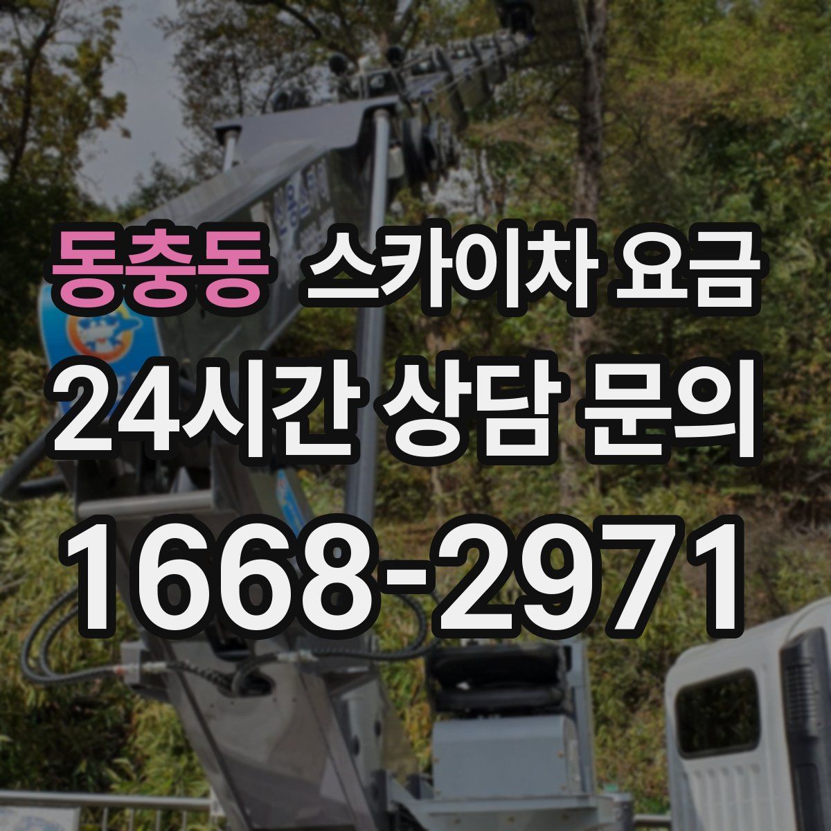 동충동 스카이차 요금