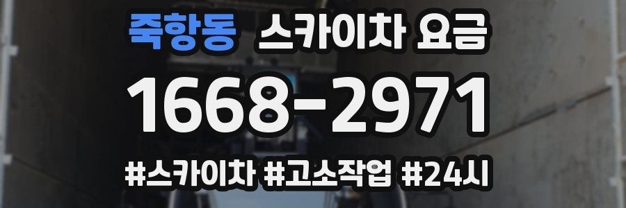 죽항동 스카이차 요금