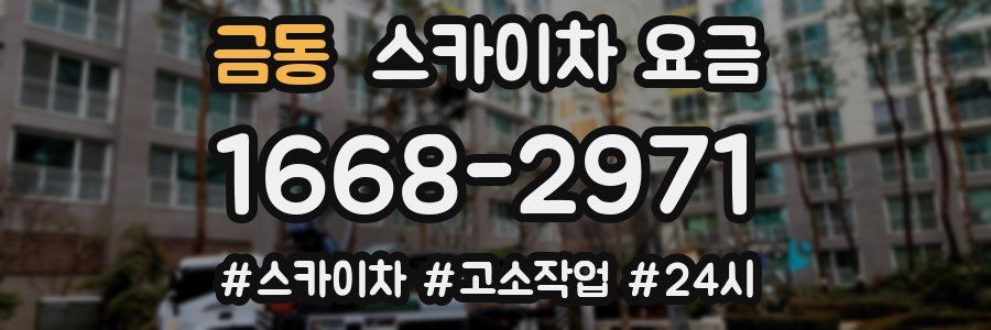 금동 스카이차 요금