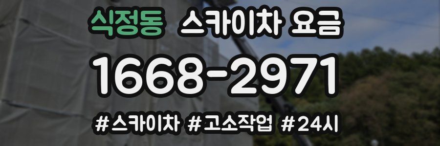 식정동 스카이차 요금