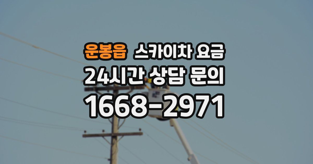 운봉읍 스카이차 요금