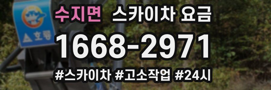 수지면 스카이차 요금