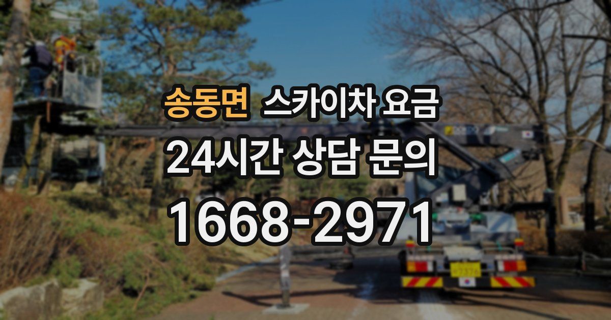 송동면 스카이차 요금