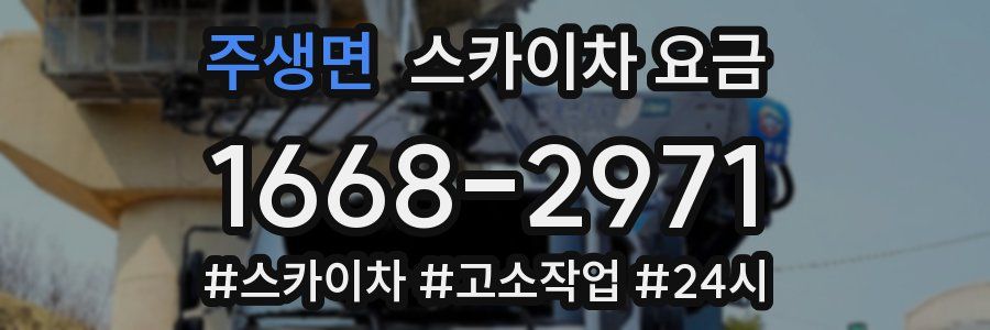 주생면 스카이차 요금