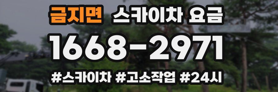 금지면 스카이차 요금